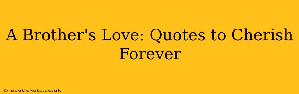 A Brother's Love: Quotes to Cherish Forever