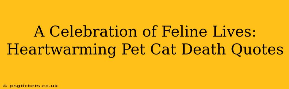 A Celebration of Feline Lives: Heartwarming Pet Cat Death Quotes