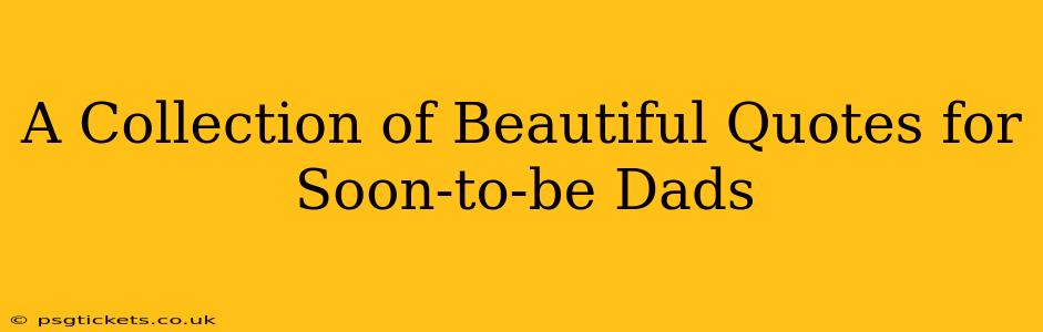 A Collection of Beautiful Quotes for Soon-to-be Dads