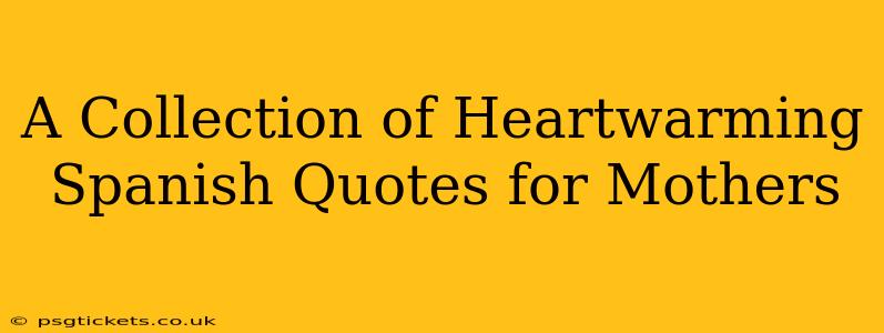A Collection of Heartwarming Spanish Quotes for Mothers