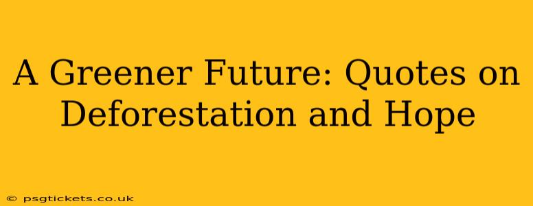 A Greener Future: Quotes on Deforestation and Hope