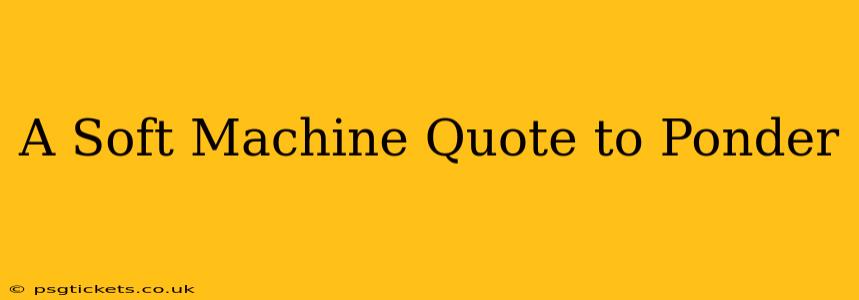 A Soft Machine Quote to Ponder