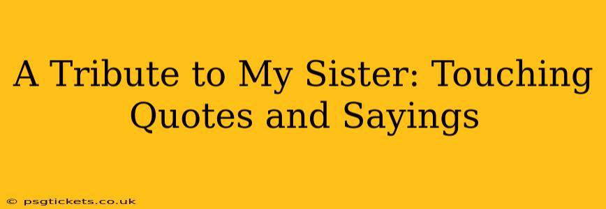 A Tribute to My Sister: Touching Quotes and Sayings