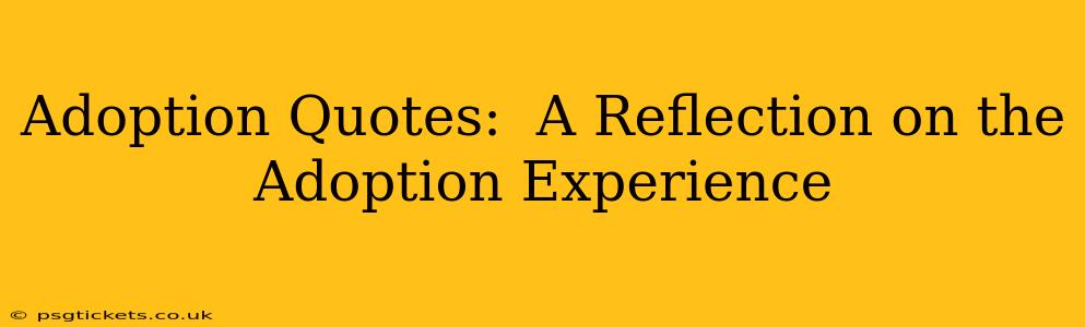 Adoption Quotes:  A Reflection on the Adoption Experience