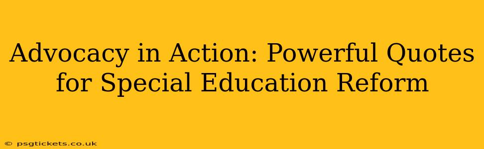 Advocacy in Action: Powerful Quotes for Special Education Reform