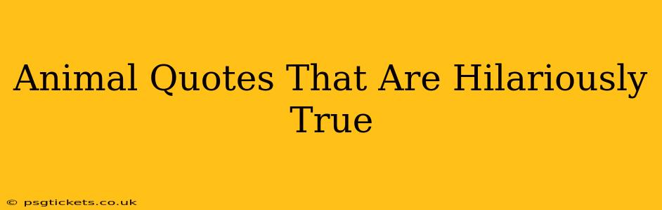 Animal Quotes That Are Hilariously True