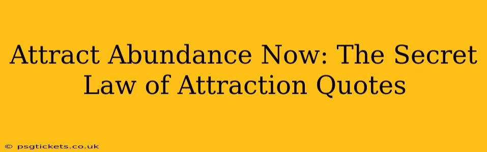 Attract Abundance Now: The Secret Law of Attraction Quotes