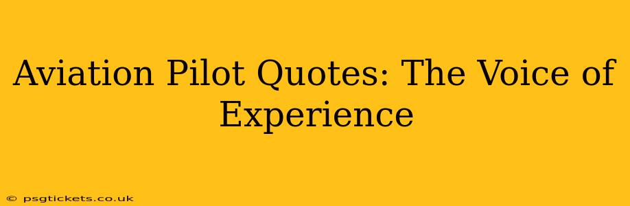 Aviation Pilot Quotes: The Voice of Experience