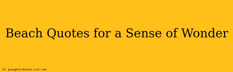 Beach Quotes for a Sense of Wonder