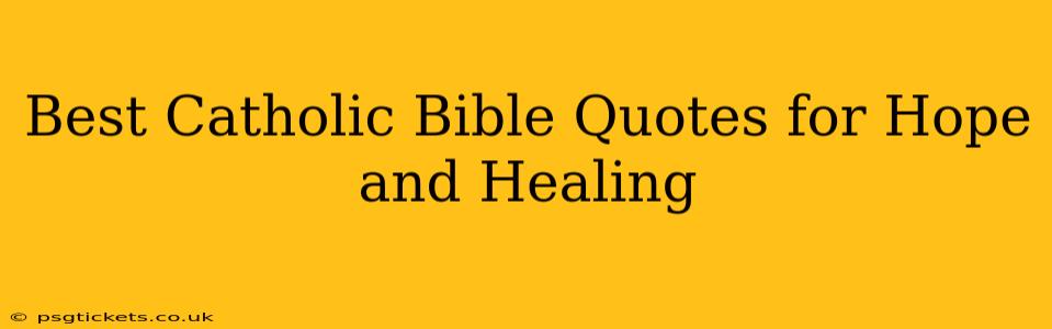 Best Catholic Bible Quotes for Hope and Healing