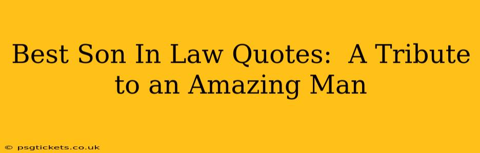 Best Son In Law Quotes:  A Tribute to an Amazing Man