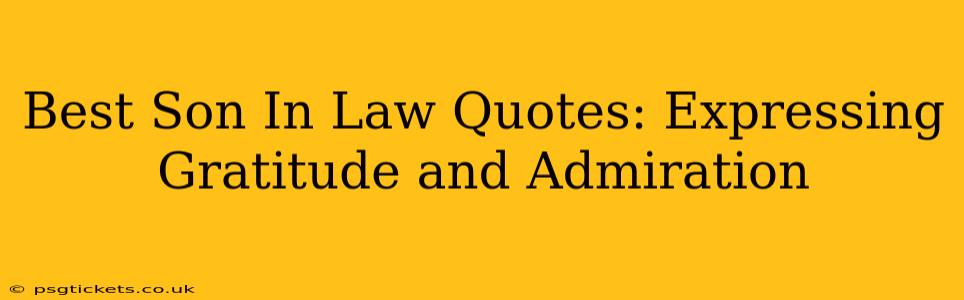 Best Son In Law Quotes: Expressing Gratitude and Admiration