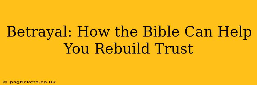 Betrayal: How the Bible Can Help You Rebuild Trust