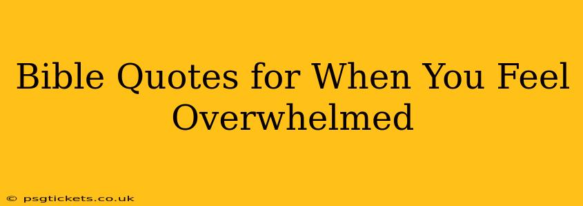 Bible Quotes for When You Feel Overwhelmed