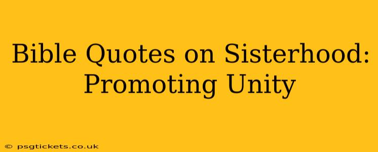 Bible Quotes on Sisterhood: Promoting Unity