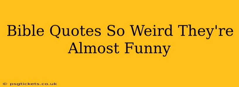Bible Quotes So Weird They're Almost Funny
