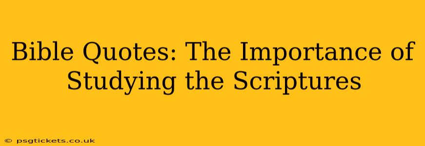 Bible Quotes: The Importance of Studying the Scriptures