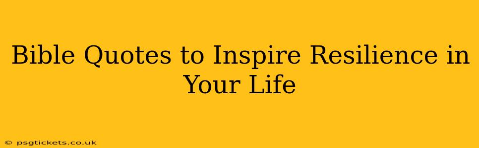 Bible Quotes to Inspire Resilience in Your Life