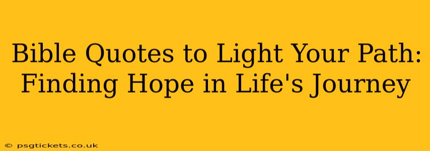 Bible Quotes to Light Your Path: Finding Hope in Life's Journey