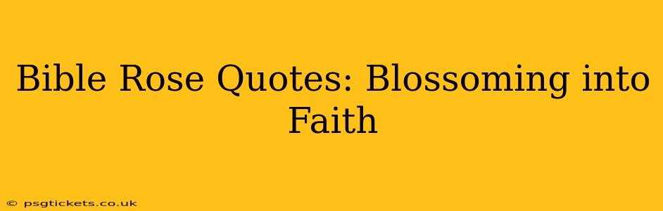 Bible Rose Quotes: Blossoming into Faith