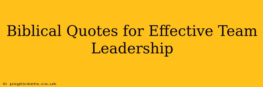 Biblical Quotes for Effective Team Leadership