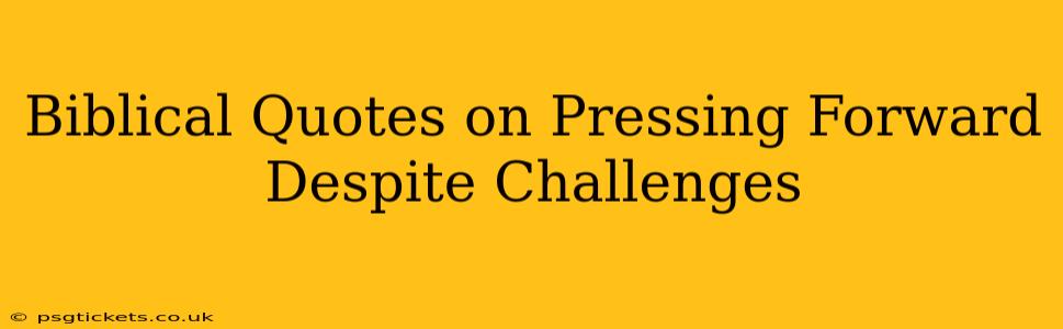 Biblical Quotes on Pressing Forward Despite Challenges