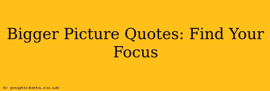 Bigger Picture Quotes: Find Your Focus
