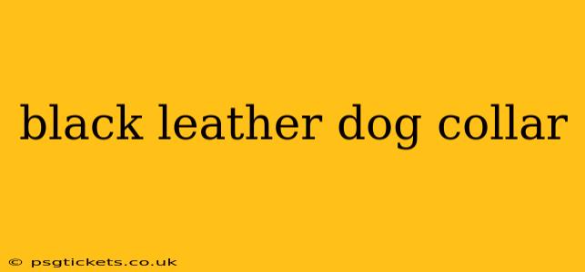 black leather dog collar