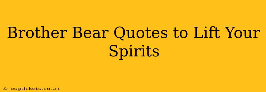 Brother Bear Quotes to Lift Your Spirits