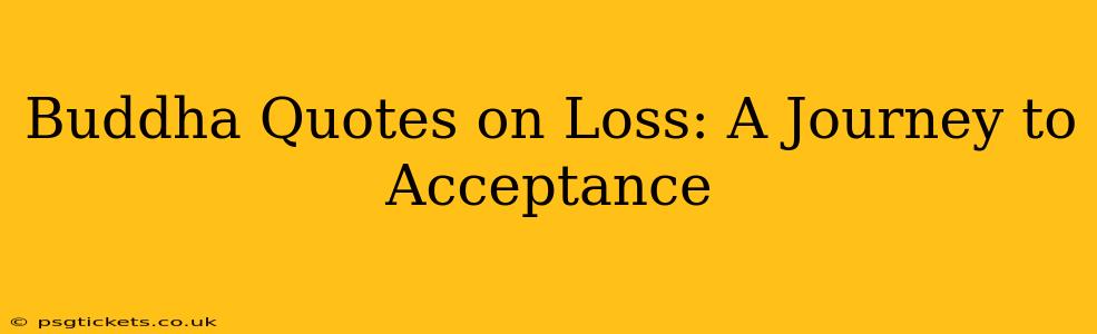 Buddha Quotes on Loss: A Journey to Acceptance