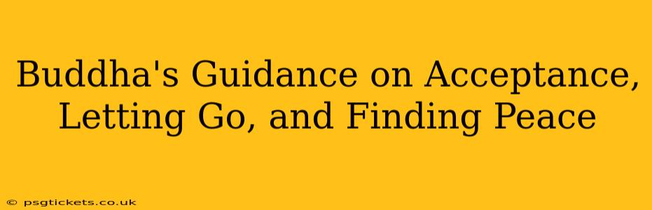 Buddha's Guidance on Acceptance, Letting Go, and Finding Peace