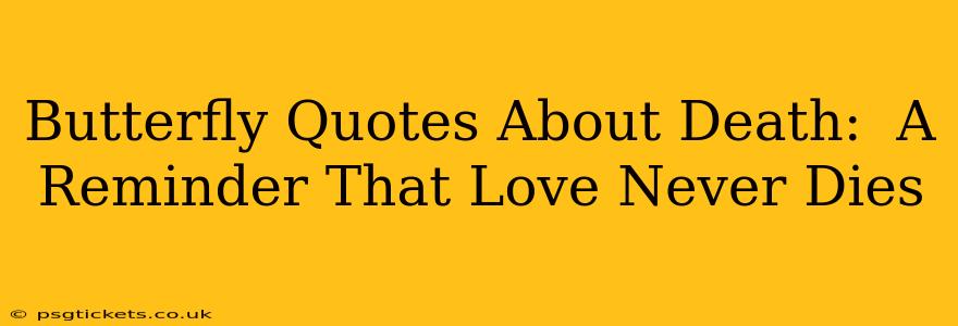 Butterfly Quotes About Death:  A Reminder That Love Never Dies