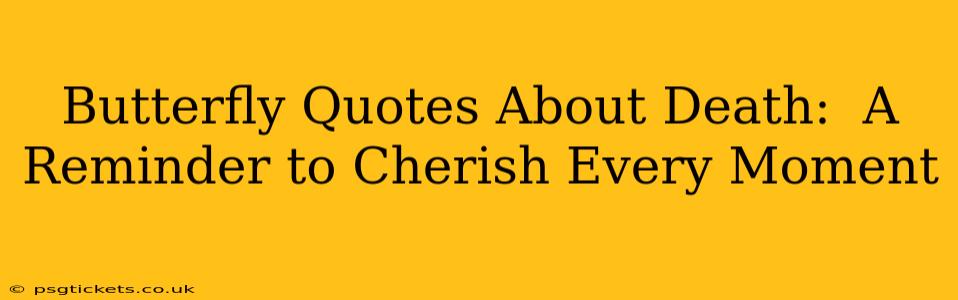 Butterfly Quotes About Death:  A Reminder to Cherish Every Moment