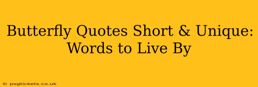 Butterfly Quotes Short & Unique: Words to Live By