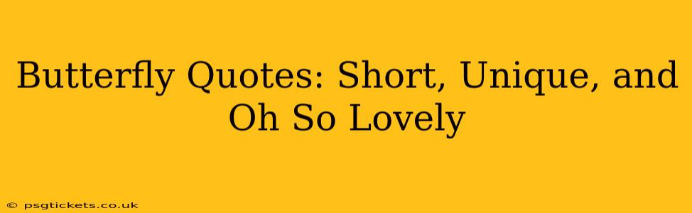 Butterfly Quotes: Short, Unique, and Oh So Lovely