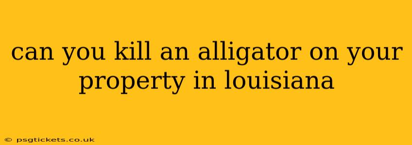 can you kill an alligator on your property in louisiana