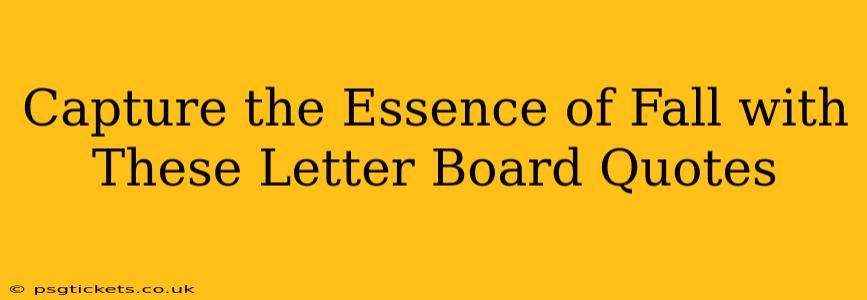 Capture the Essence of Fall with These Letter Board Quotes