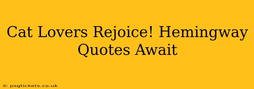 Cat Lovers Rejoice! Hemingway Quotes Await