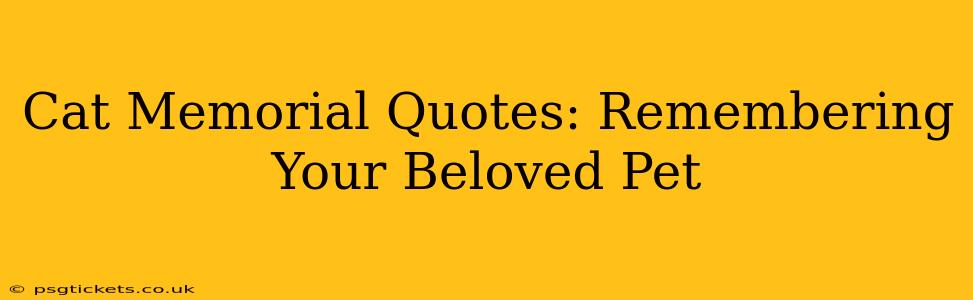 Cat Memorial Quotes: Remembering Your Beloved Pet