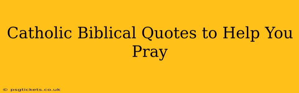 Catholic Biblical Quotes to Help You Pray