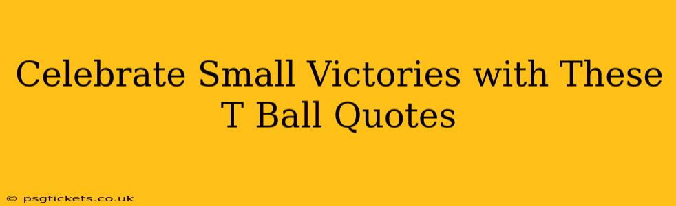Celebrate Small Victories with These T Ball Quotes