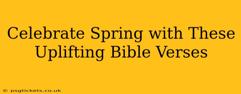 Celebrate Spring with These Uplifting Bible Verses