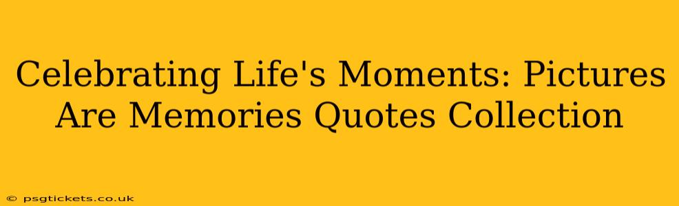 Celebrating Life's Moments: Pictures Are Memories Quotes Collection