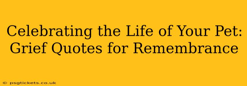 Celebrating the Life of Your Pet: Grief Quotes for Remembrance