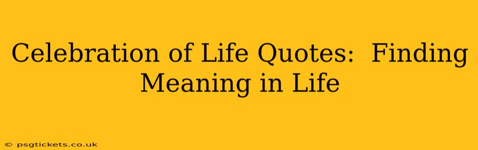 Celebration of Life Quotes:  Finding Meaning in Life