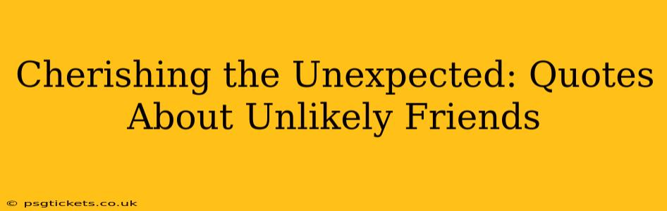 Cherishing the Unexpected: Quotes About Unlikely Friends