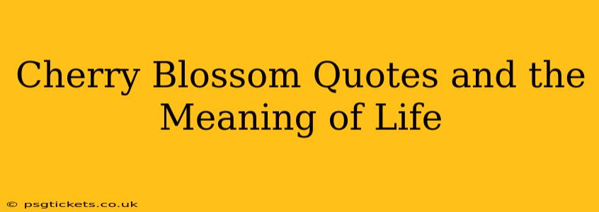 Cherry Blossom Quotes and the Meaning of Life