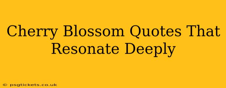 Cherry Blossom Quotes That Resonate Deeply