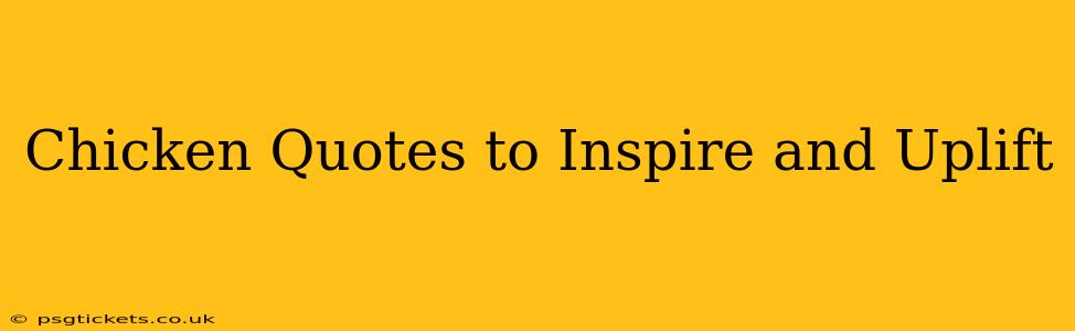 Chicken Quotes to Inspire and Uplift