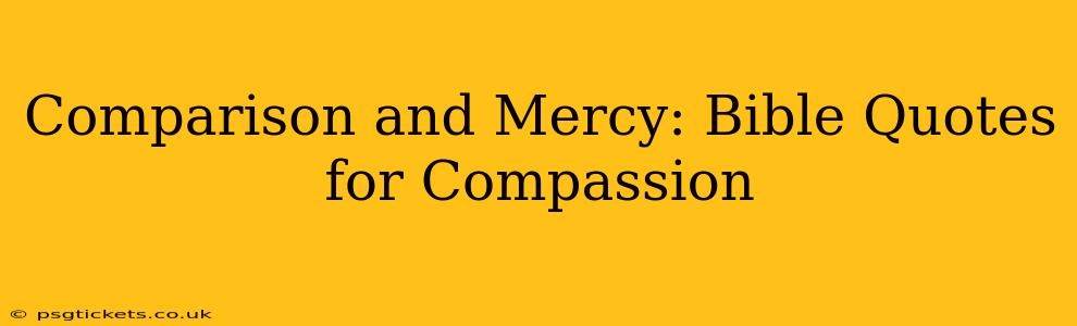 Comparison and Mercy: Bible Quotes for Compassion